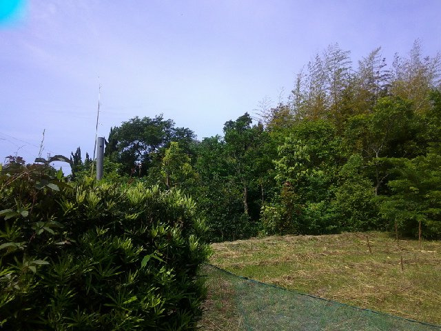 富津市千種新田の事業用地