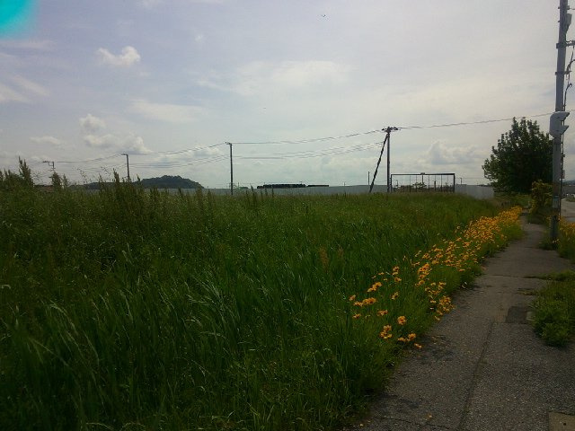 富津市大堀の事業用地