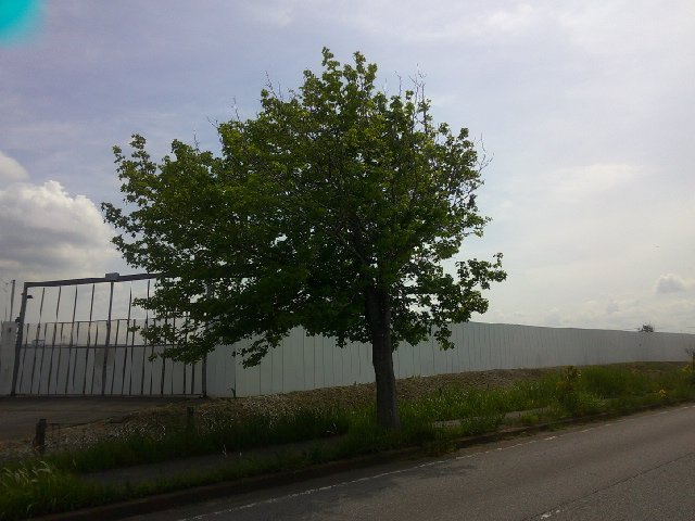 富津市大堀の事業用地