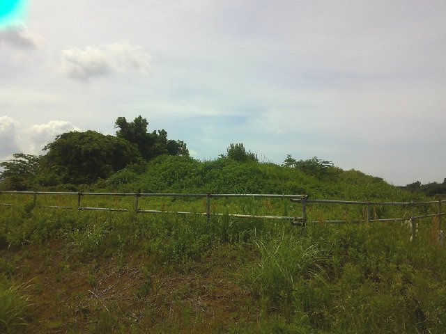 木更津市請西の事業用地