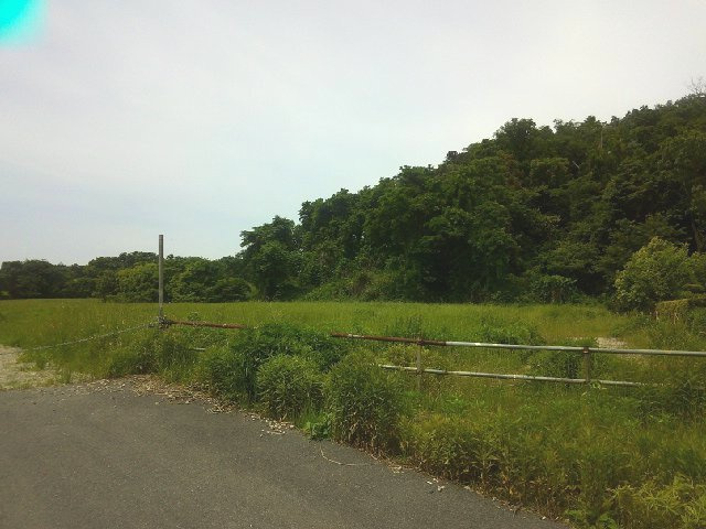木更津市請西の事業用地