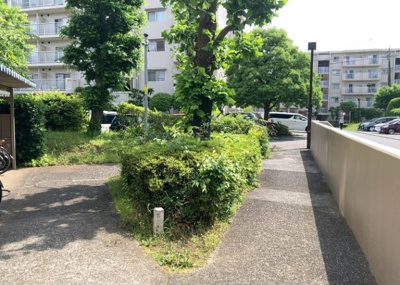 【中庭】 | グリーンメゾン南大沢５号棟 | 中庭（パティオ）とは、一つの建築物の内部に設けられた、壁などで囲われている庭のことを指します。コの字型、ロの字型が主流ですが、L字型の中庭もあります。最近では、インテリア性の高さからも人気があります。