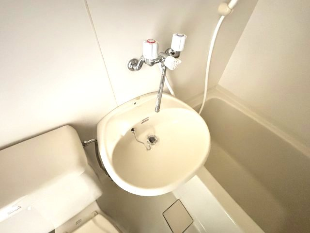アメージングエステートの洗面所