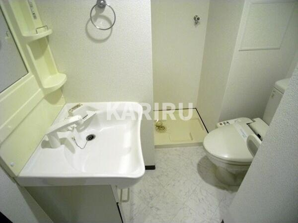 ディナスティ玉造の洗面所