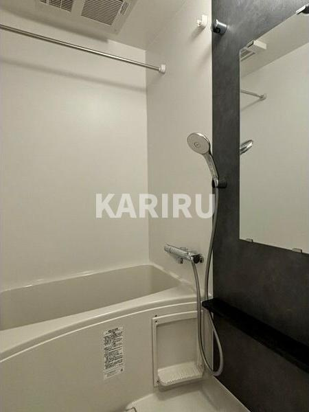 エスリードレジデンス梅田デュオの浴室