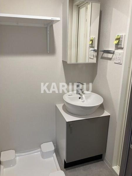 エスリードレジデンス梅田デュオの洗面所
