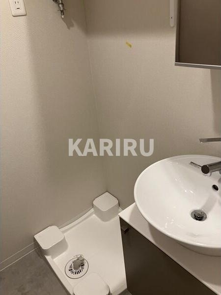 エスリードレジデンス梅田デュオの洗面所
