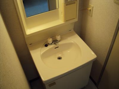 カーサ南野の独立洗面台