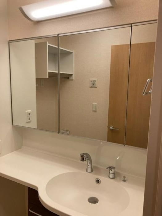 ＤーｒooｍやまはＡの洗面所