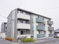 ワレアハレの画像