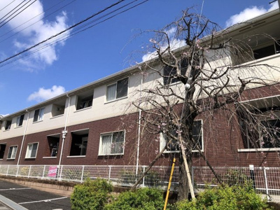 【外観】 | ブリリアント・ハイム