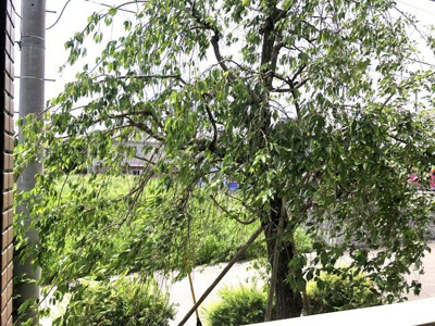 【展望】 | ブリリアント・ハイム