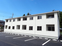 プルミエカーヤの画像