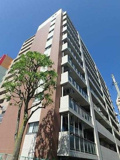Primal Machida(プライマルマチダ)の画像