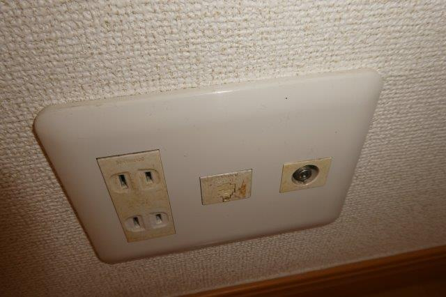 ビッグベアーDの設備|TVジャック・電話モジュラー