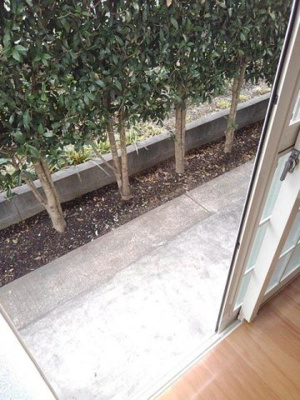 【庭】 | レジデンス寿Ｂ