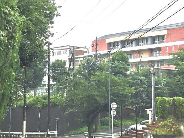 プラザフェニックス