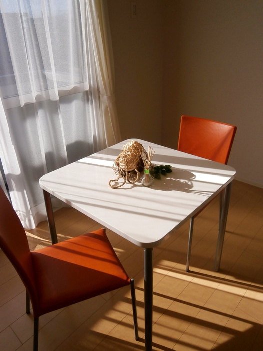 エトワール白沢のその他|家具付き ダイキングセット