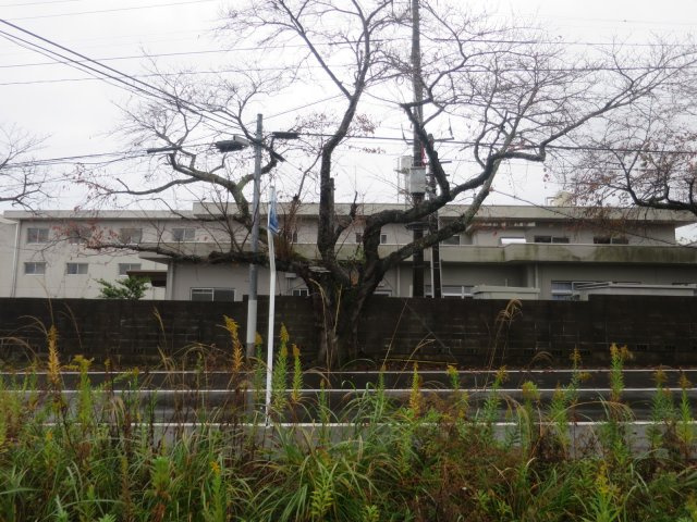 オレンジ　★富岡町大字小浜字大膳町　東南角地　工業地域★　売地の外観