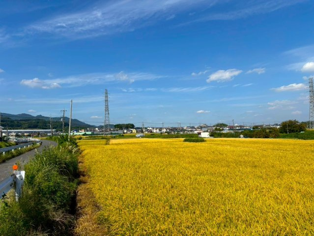 【周辺】 | ◇◆伊勢原市笠窪 中古戸建◆◇ | 周辺は田園風景が広がるのどかな住環境が広がっています。