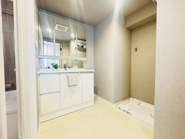 エトワール高崎常盤町の独立洗面台|エトワール高崎常盤町　2階