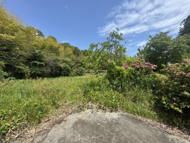 好間町北好間字源平野地 土地の外観