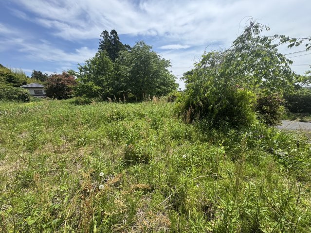 好間町北好間字源平野地 土地の外観