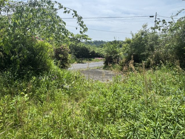 好間町北好間字源平野地 土地の外観