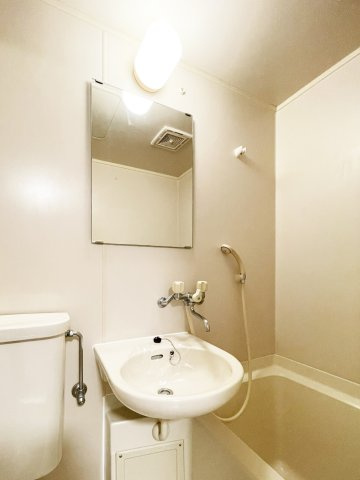 プレジール南昭和の洗面所