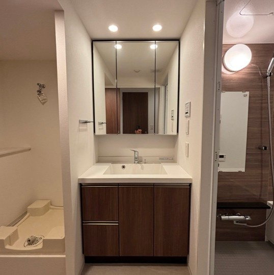 パークアクシス品川天王洲アイルの独立洗面台