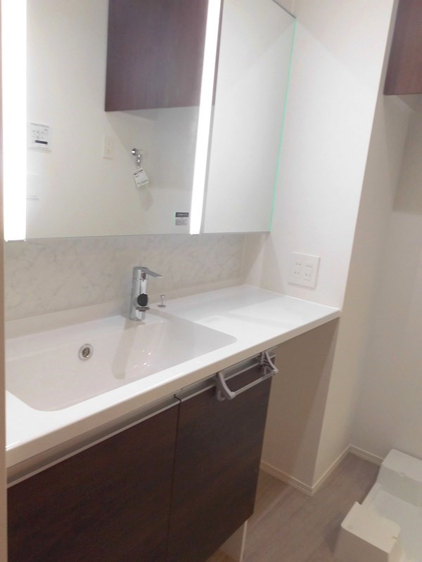 D-room上ノ丸の洗面所