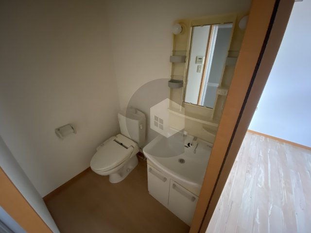 アドバンス俊徳の洗面所