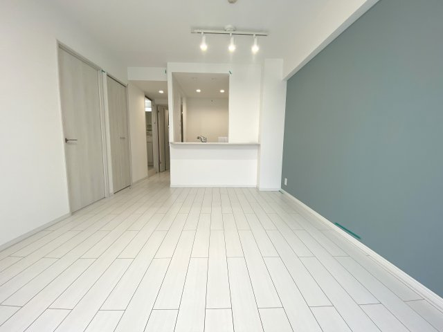 レックスハイム吉川の居間・リビング|収納もある玄関です