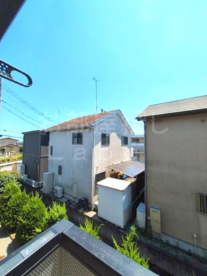 【展望】 | グレースなしの木