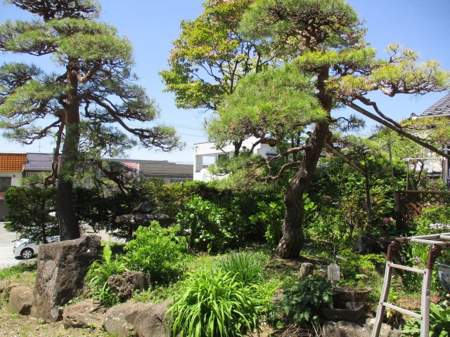 諏訪市清水１丁目の中古一戸建の庭