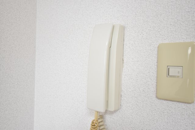 メゾンドロイヤルⅡのセキュリティ