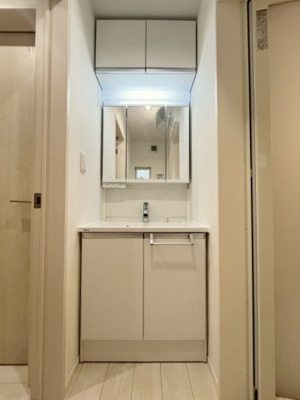 【洗面所】 | 杉並区下井草三丁目戸建 | 洗面所です