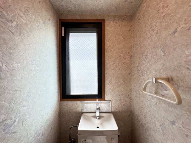 ネオクレメントのその他