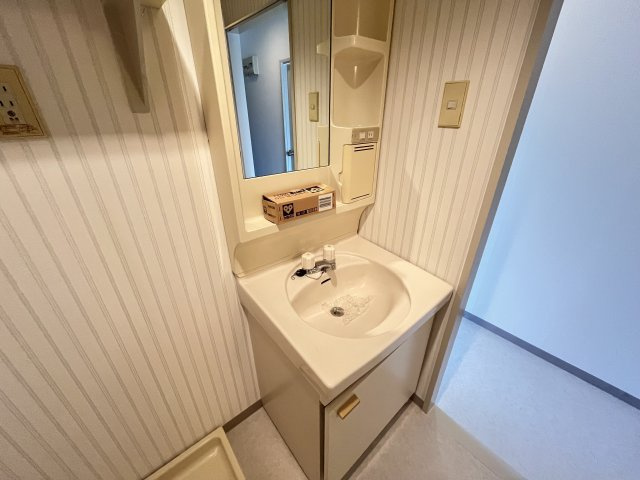 ユートピアハイツ金剛の洗面所