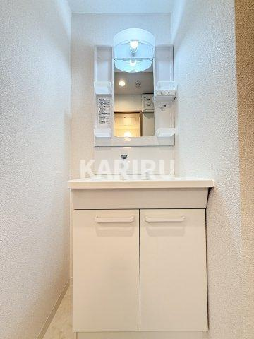 ソリティア桃谷の洗面所