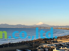 グランシティ湘南海岸マリナージュスクエアの展望