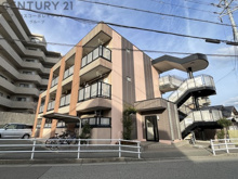 ジョイメニ―の画像