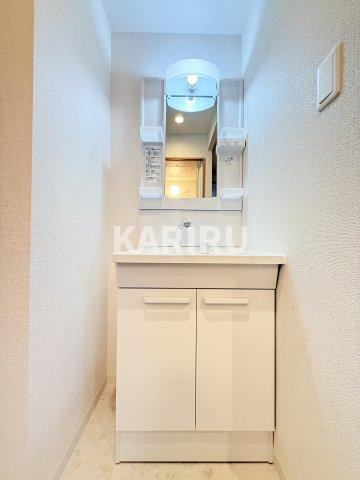 ソリティア桃谷の洗面所