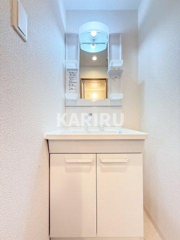 ソリティア桃谷の洗面所