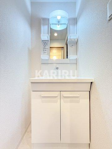 ソリティア桃谷の洗面所