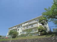 川和団地4号棟の画像
