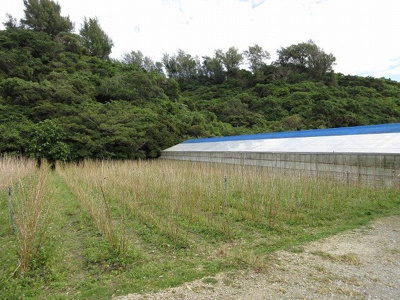 【外観】 | 北中城村売農地