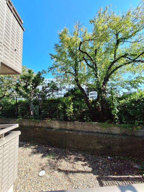 カナールサイドの展望