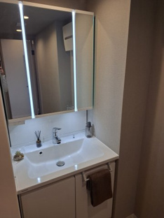 【独立洗面台】ルネス皆春 