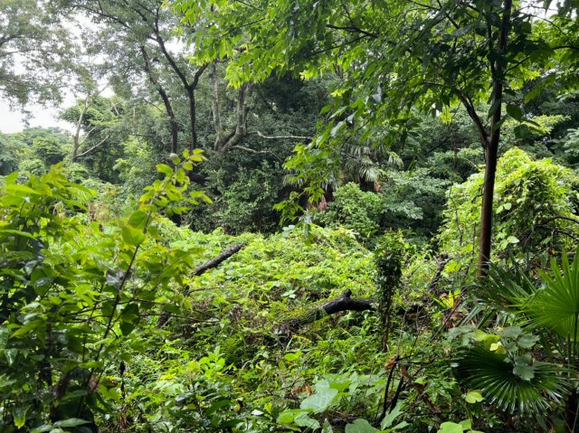 愛知県蒲郡市神ノ郷　土地の周辺
